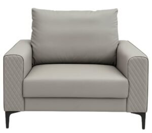 Ashy Sofa One Seater