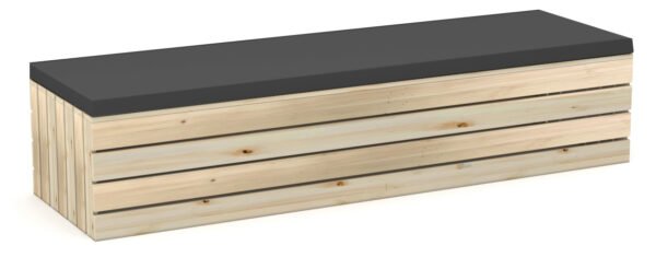 Coastal Bench